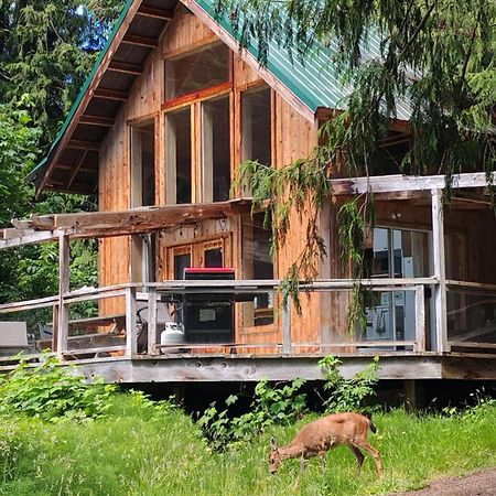 Vila Ocean Views & Sunset Beach Cabin With Soaker Tub & Fire Pit Powell River Exteriér fotografie