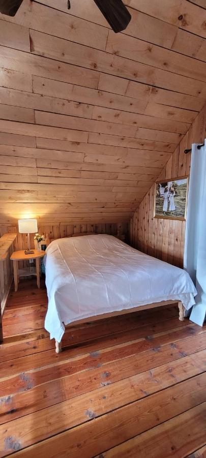 Vila Ocean Views & Sunset Beach Cabin With Soaker Tub & Fire Pit Powell River Exteriér fotografie
