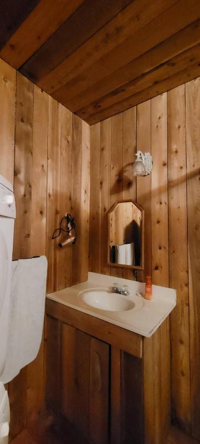 Vila Ocean Views & Sunset Beach Cabin With Soaker Tub & Fire Pit Powell River Exteriér fotografie