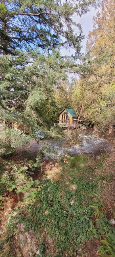 Vila Ocean Views & Sunset Beach Cabin With Soaker Tub & Fire Pit Powell River Exteriér fotografie