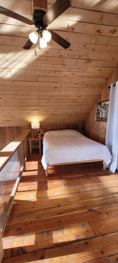 Vila Ocean Views & Sunset Beach Cabin With Soaker Tub & Fire Pit Powell River Exteriér fotografie