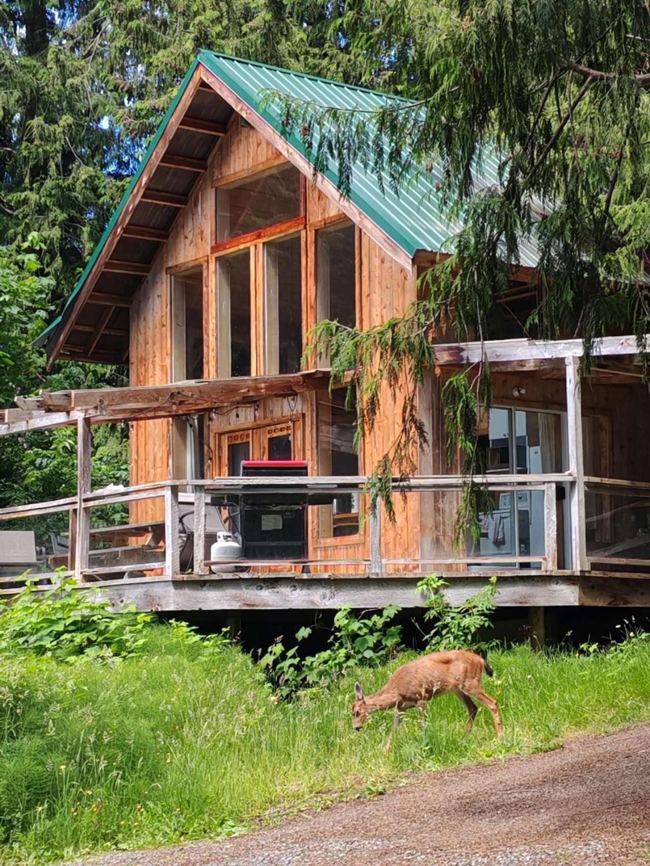 Vila Ocean Views & Sunset Beach Cabin With Soaker Tub & Fire Pit Powell River Exteriér fotografie